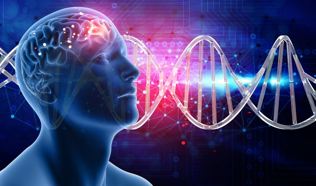 Mindset Psychology And Safety